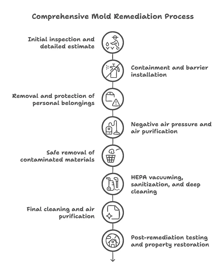 Comprehensive mold remediation process from inspection to post-remediation restoration, explaining each step followed when mold remediation is required